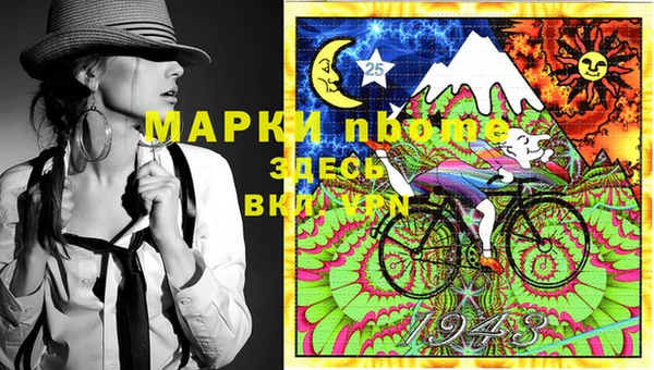 PSILOCYBIN Вяземский